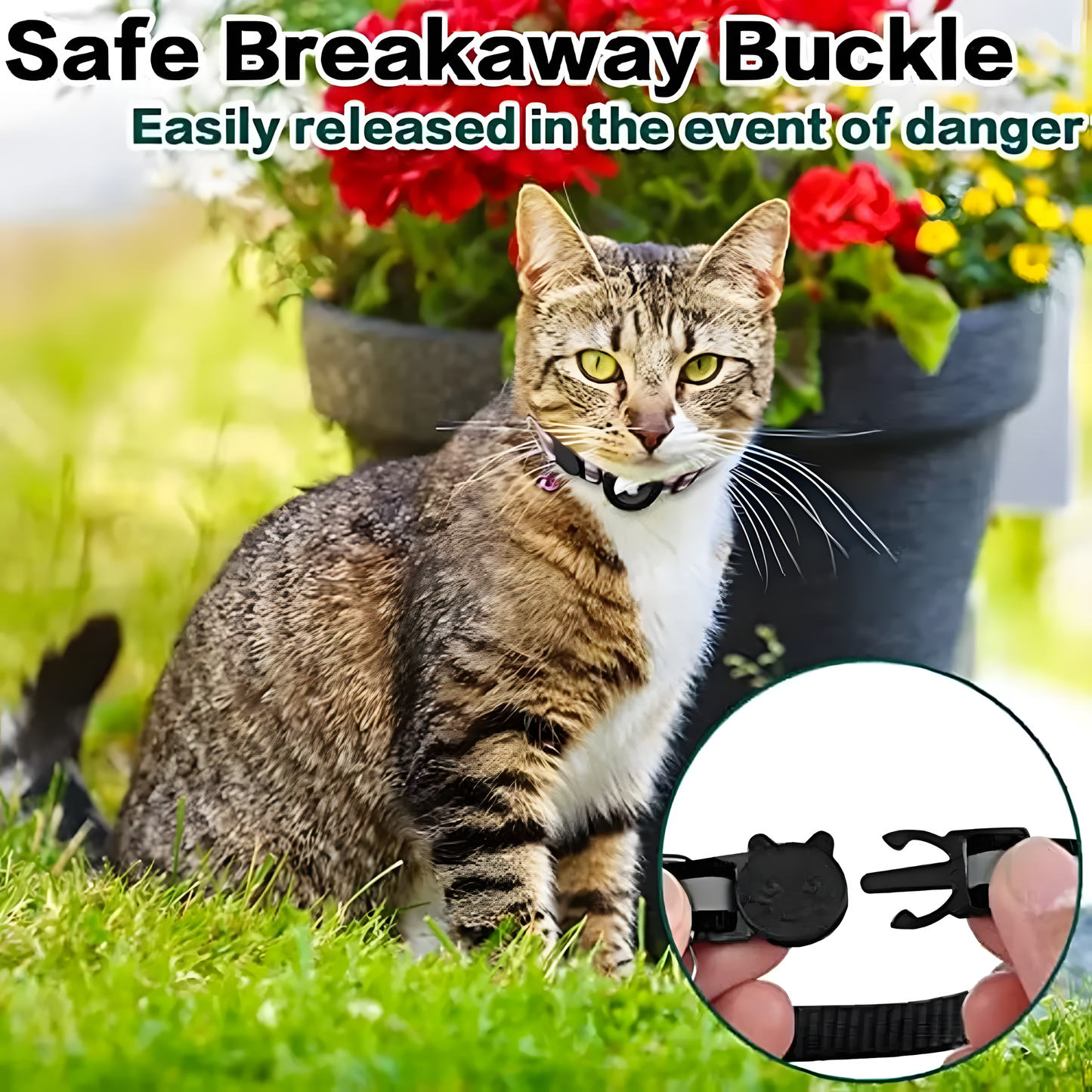 Cat Collar With Airtag Holder